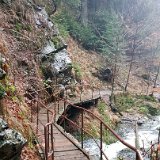 20181223 145337